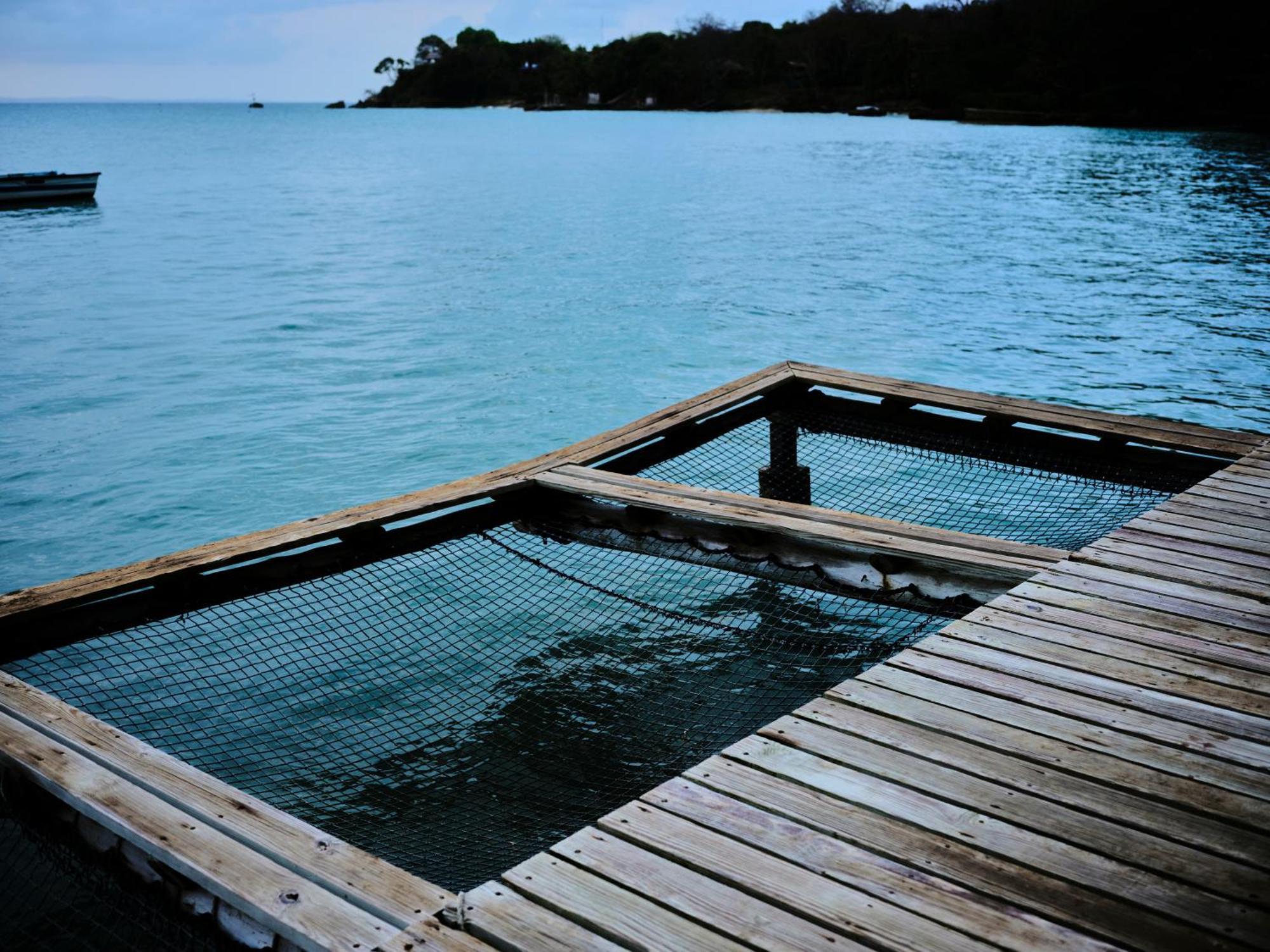 Isla Fuerte Eco House Villa Puerto Limon ภายนอก รูปภาพ